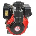  Vitals DM 10.5kne